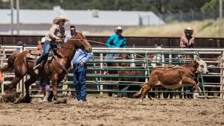 79202561 l normal none 1 768x432